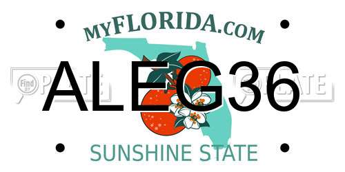 ALEG36 Florida License Plate