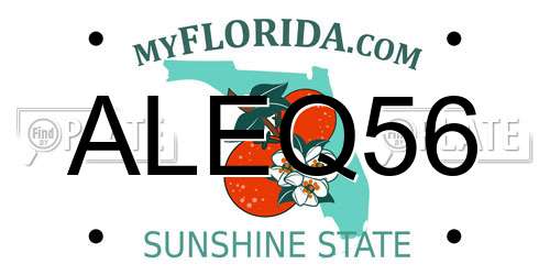 ALEQ56 Florida License Plate