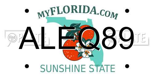 ALEQ89 Florida License Plate