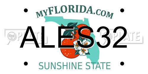 ALES32 Florida License Plate