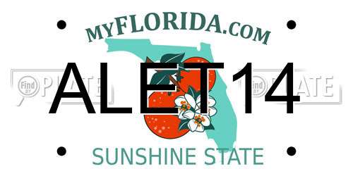 ALET14 Florida License Plate