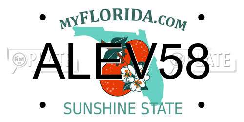 ALEV58 Florida License Plate