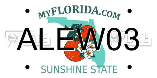 ALEW03 Florida License Plate