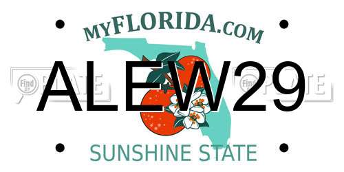 ALEW29 Florida License Plate