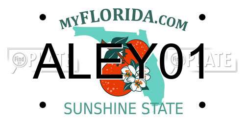 ALEY01 Florida License Plate