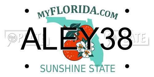 ALEY38 Florida License Plate