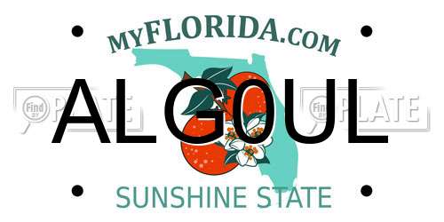 ALG0UL Florida License Plate