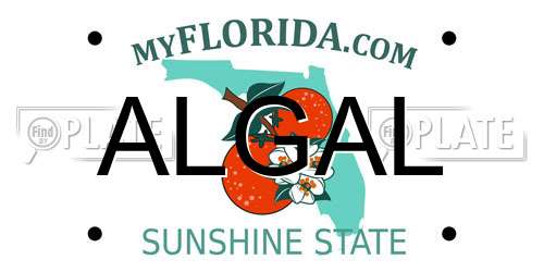 ALGAL Florida License Plate