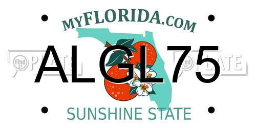 ALGL75 Florida License Plate