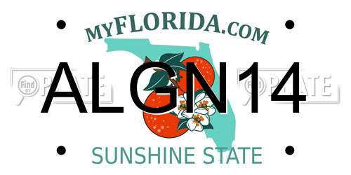 ALGN14 Florida License Plate