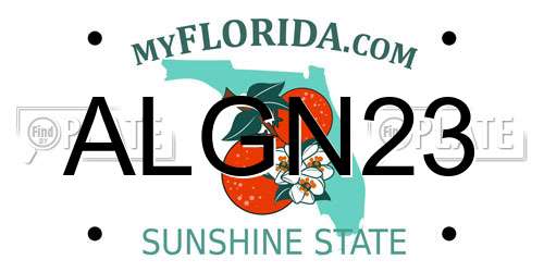 ALGN23 Florida License Plate