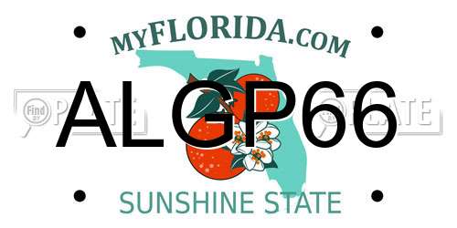 ALGP66 Florida License Plate