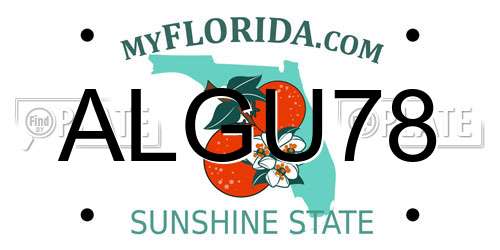 ALGU78 Florida License Plate