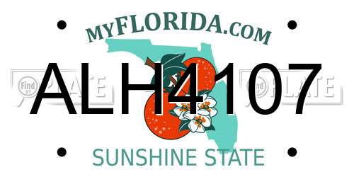 ALH4107 Florida License Plate