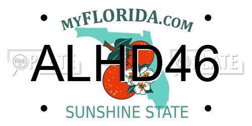 ALHD46 Florida License Plate