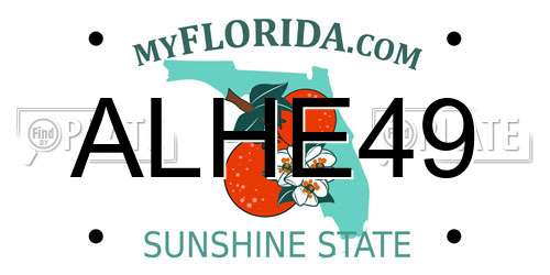 ALHE49 Florida License Plate