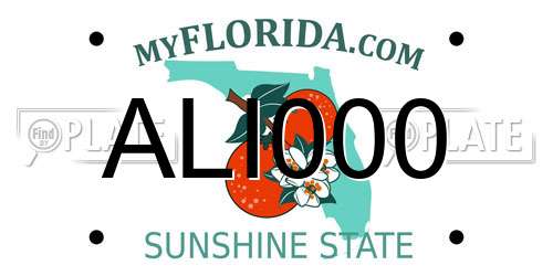 ALI000 Florida License Plate