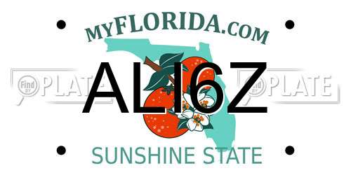 ALI6Z Florida License Plate