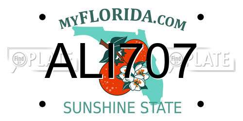 ALI707 Florida License Plate