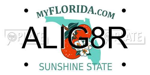 ALIG8R Florida License Plate