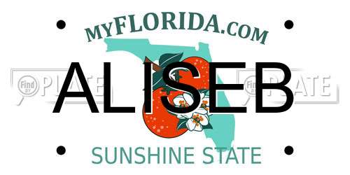 ALISEB Florida License Plate