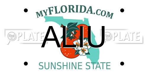 ALIU Florida License Plate
