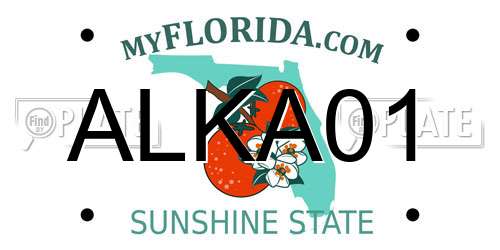 ALKA01 Florida License Plate