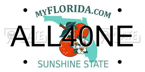 ALL40NE Florida License Plate