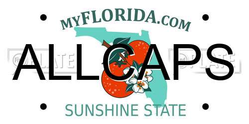 ALLCAPS Florida License Plate
