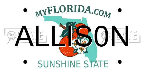 ALLIS0N Florida License Plate