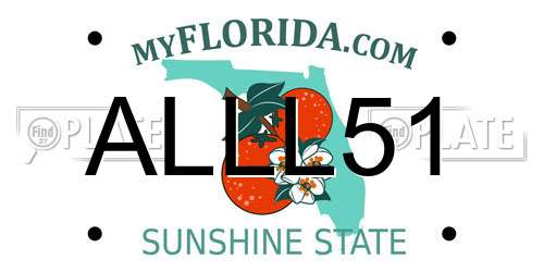 ALLL51 Florida License Plate