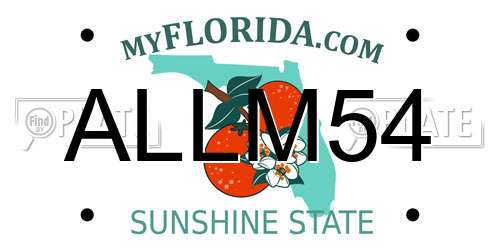ALLM54 Florida License Plate