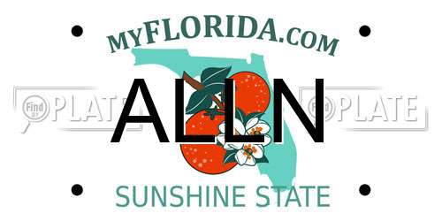 ALLN Florida License Plate