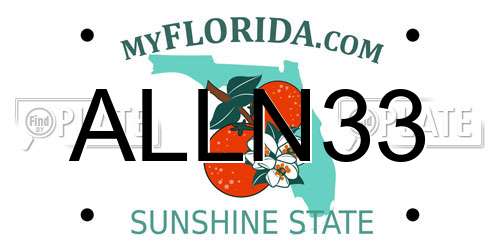 ALLN33 Florida License Plate