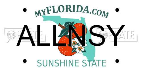 ALLNSY Florida License Plate