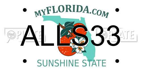 ALLS33 Florida License Plate