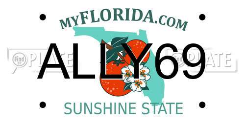 ALLY69 Florida License Plate