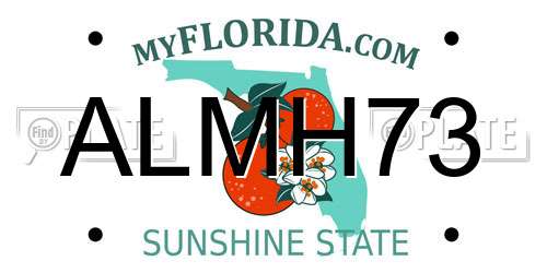 ALMH73 Florida License Plate