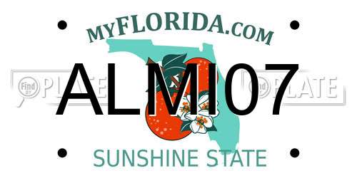 ALMI07 Florida License Plate