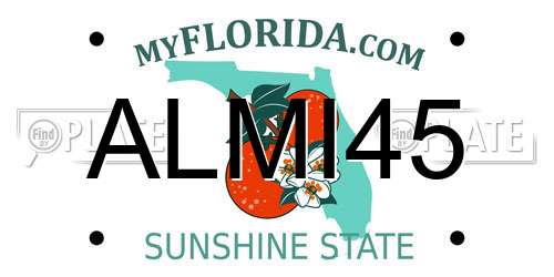 ALMI45 Florida License Plate