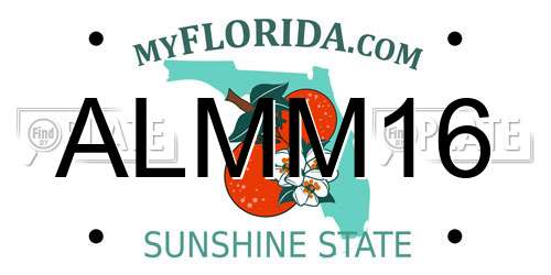ALMM16 Florida License Plate
