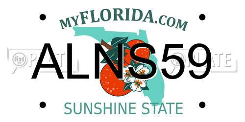 ALNS59 Florida License Plate