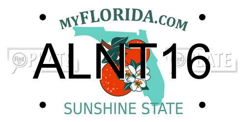 ALNT16 Florida License Plate