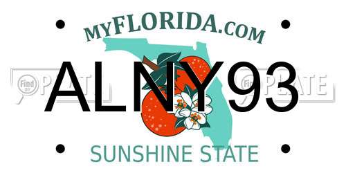 ALNY93 Florida License Plate