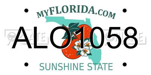 ALO1058 Florida License Plate