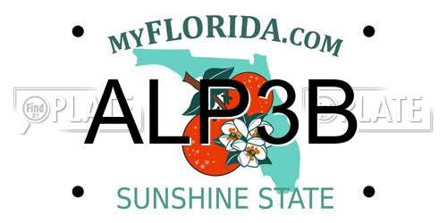 ALP3B Florida License Plate