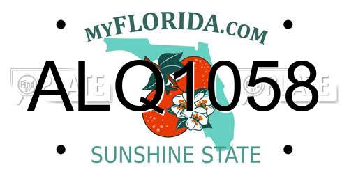 ALQ1058 Florida License Plate