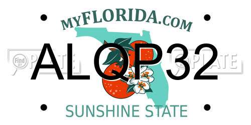 ALQP32 Florida License Plate