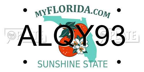 ALQY93 Florida License Plate