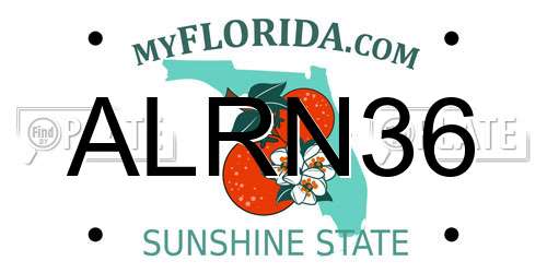 ALRN36 Florida License Plate